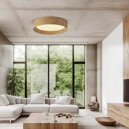 Barcelona LED Flush Mount Ceiling Light in living room.