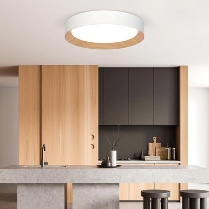 Barcelona LED Flush Mount Ceiling Light in kitchen.