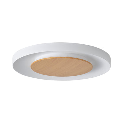 Quebec Magnetic LED Flush Mount Ceiling Light in Detail.