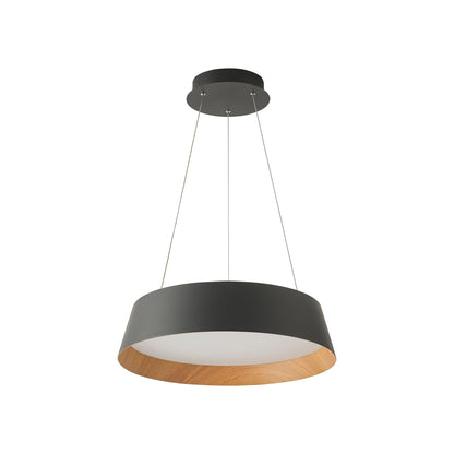 Toronto LED Pendant Light in Matte Black/Painted Wood (16.5-Inch).