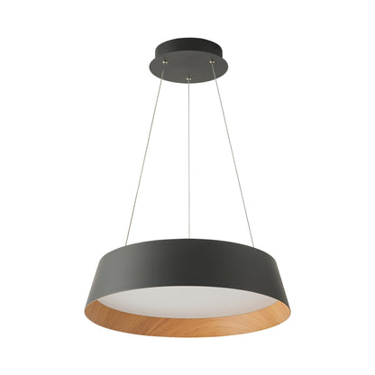 Toronto LED Pendant Light in Matte Black/Painted Wood (21.3-Inch).