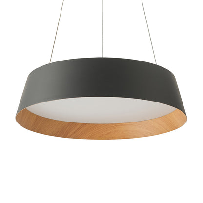 Toronto LED Pendant Light in Detail.