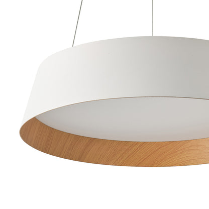 Toronto LED Pendant Light in Detail.