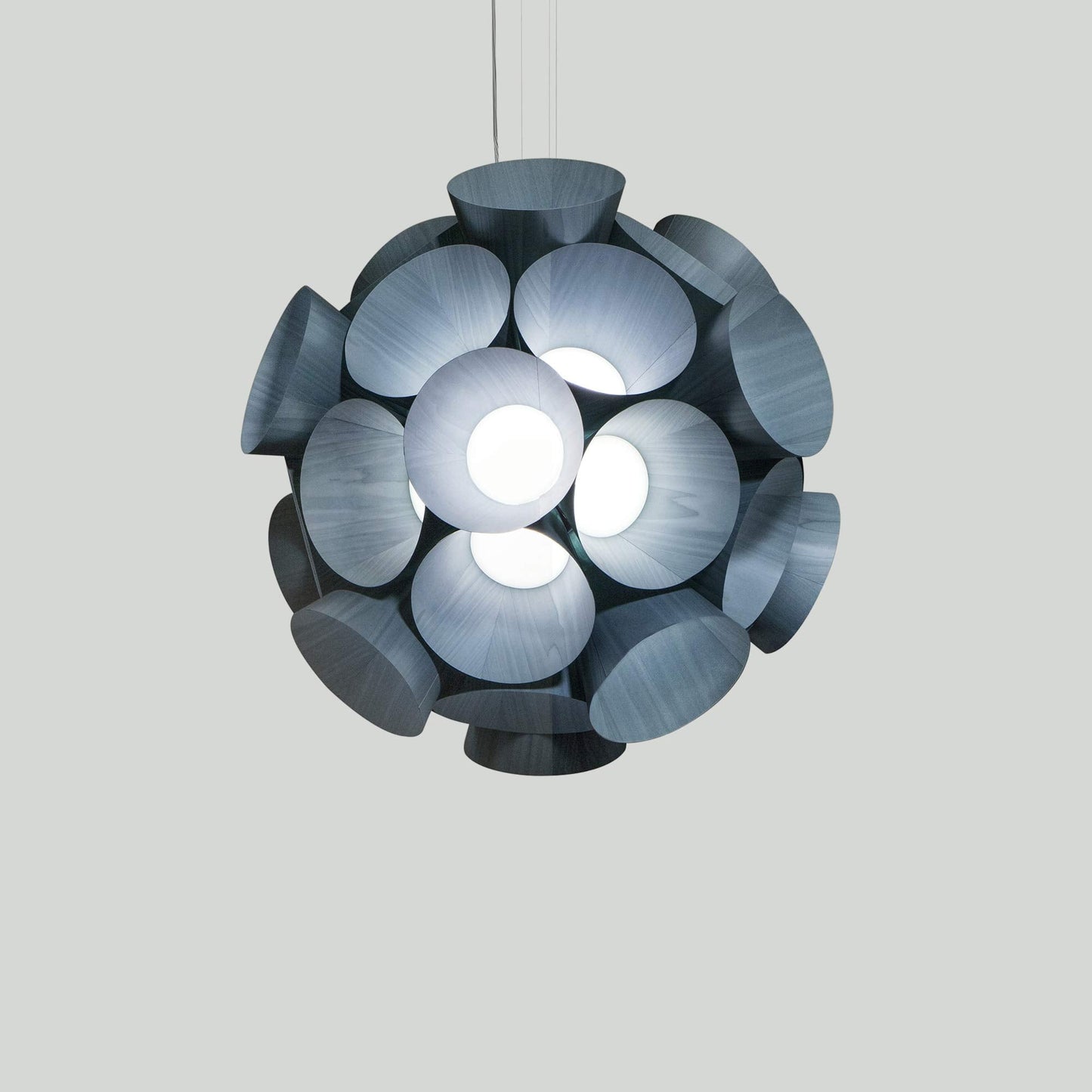 Dandelion LED Pendant Light in Detail.