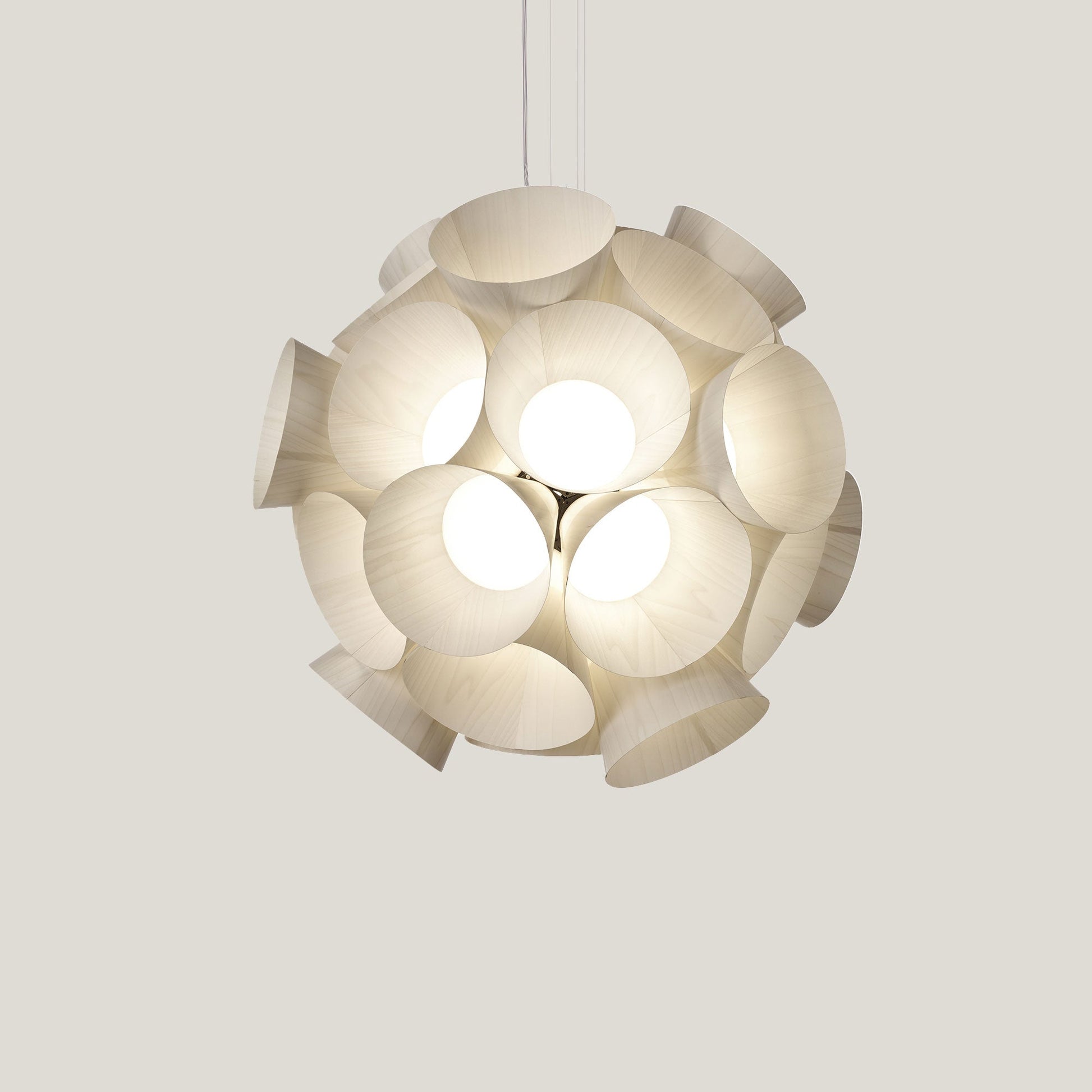 Dandelion LED Pendant Light in Detail.