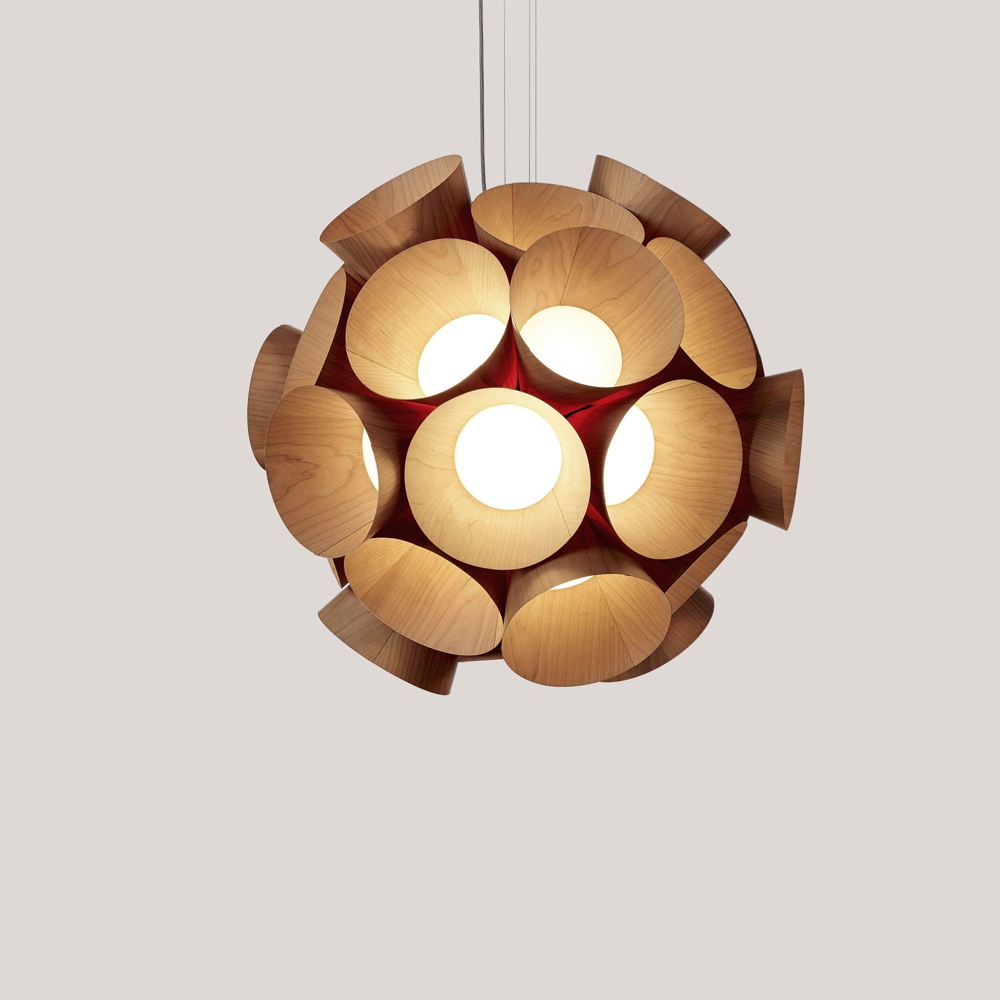 Dandelion LED Pendant Light in Detail.