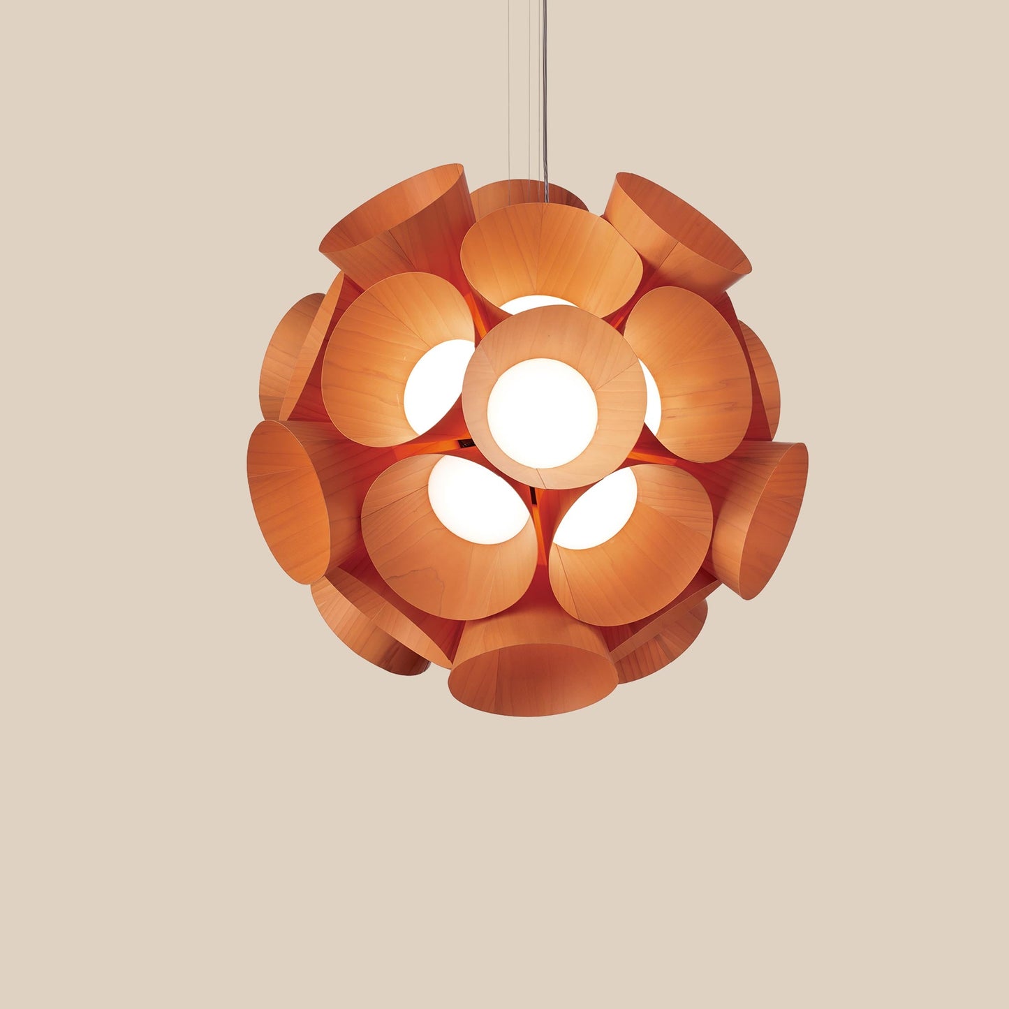 Dandelion LED Pendant Light in Detail.