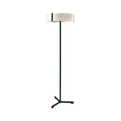 Thesis LED Floor Lamp in Matte Black.