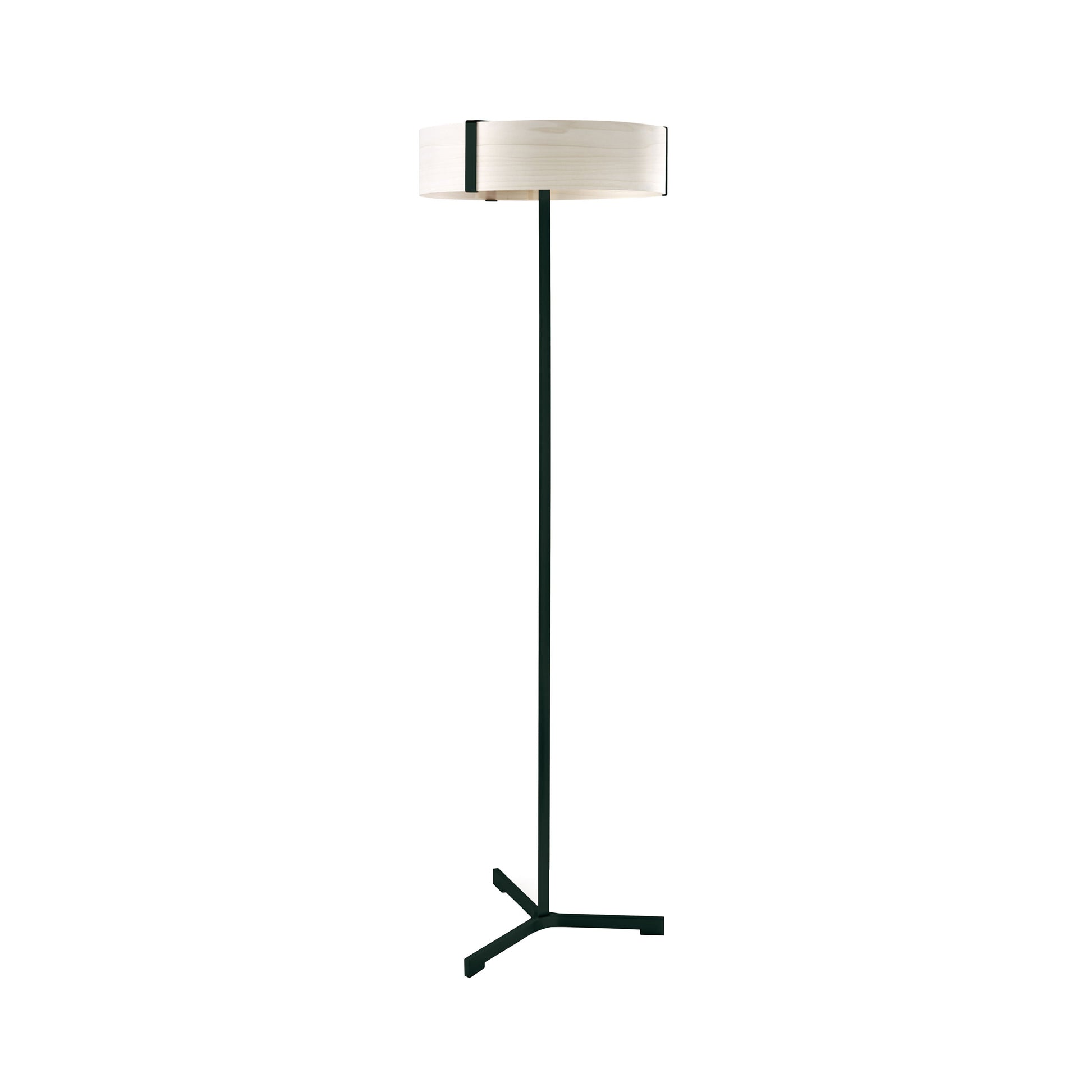 Thesis LED Floor Lamp.