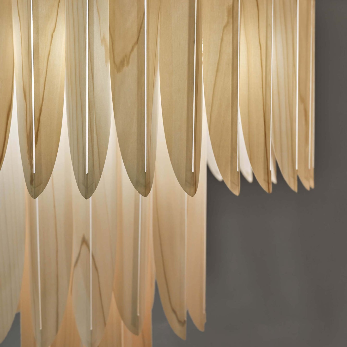 Voliere Pendant Light in Detail.