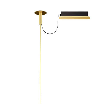 Ambrosia Canopy in Matte Gold (Small).