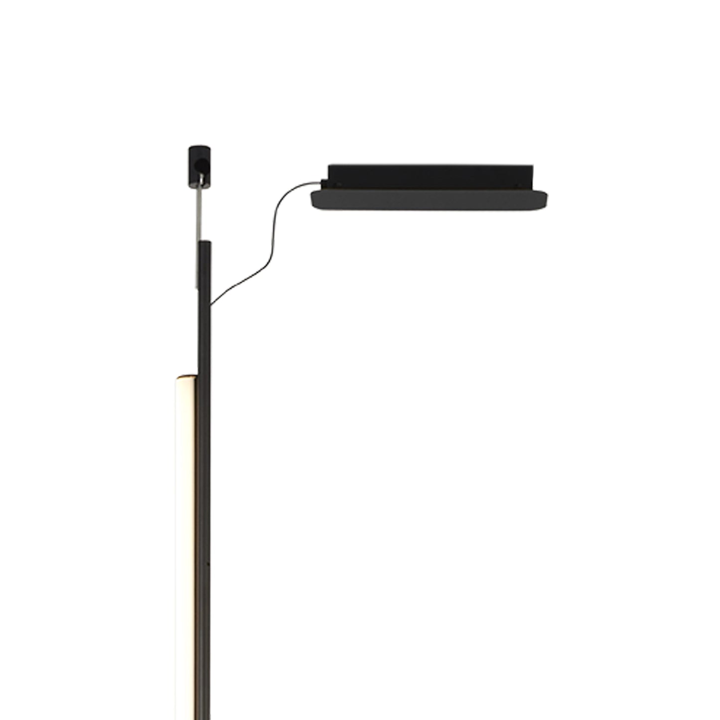 Ambrosia Canopy in Black (Large).