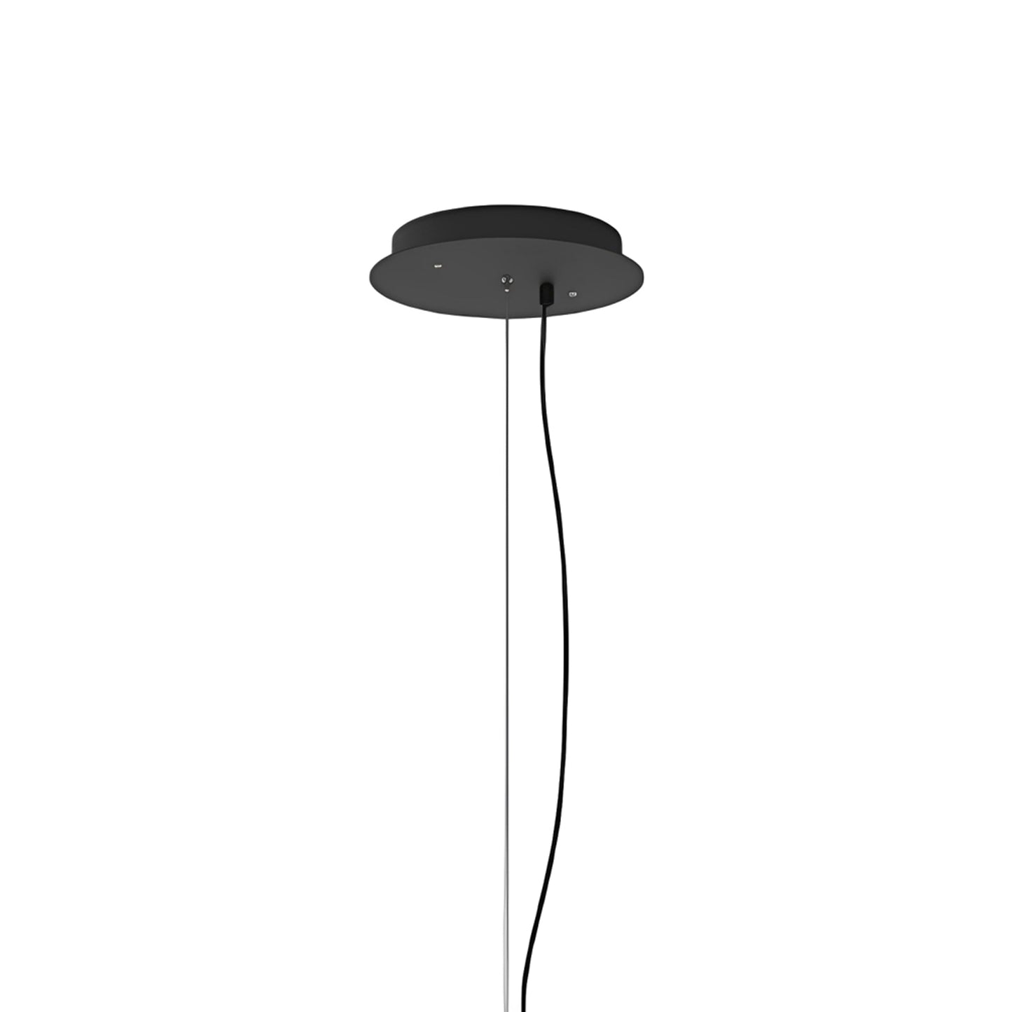 Ambrosia / Fris Round Canopy With Steel Cable in Black.