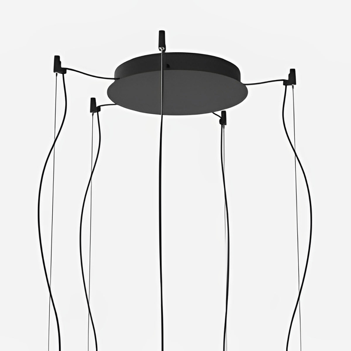 Ambrosia V Canopy in Detail.