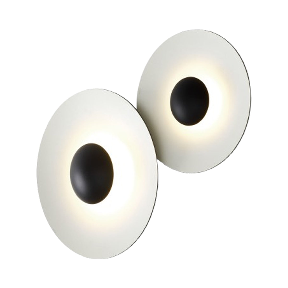 Ginger Ceiling / Wall Light in Black/White (2-Light).