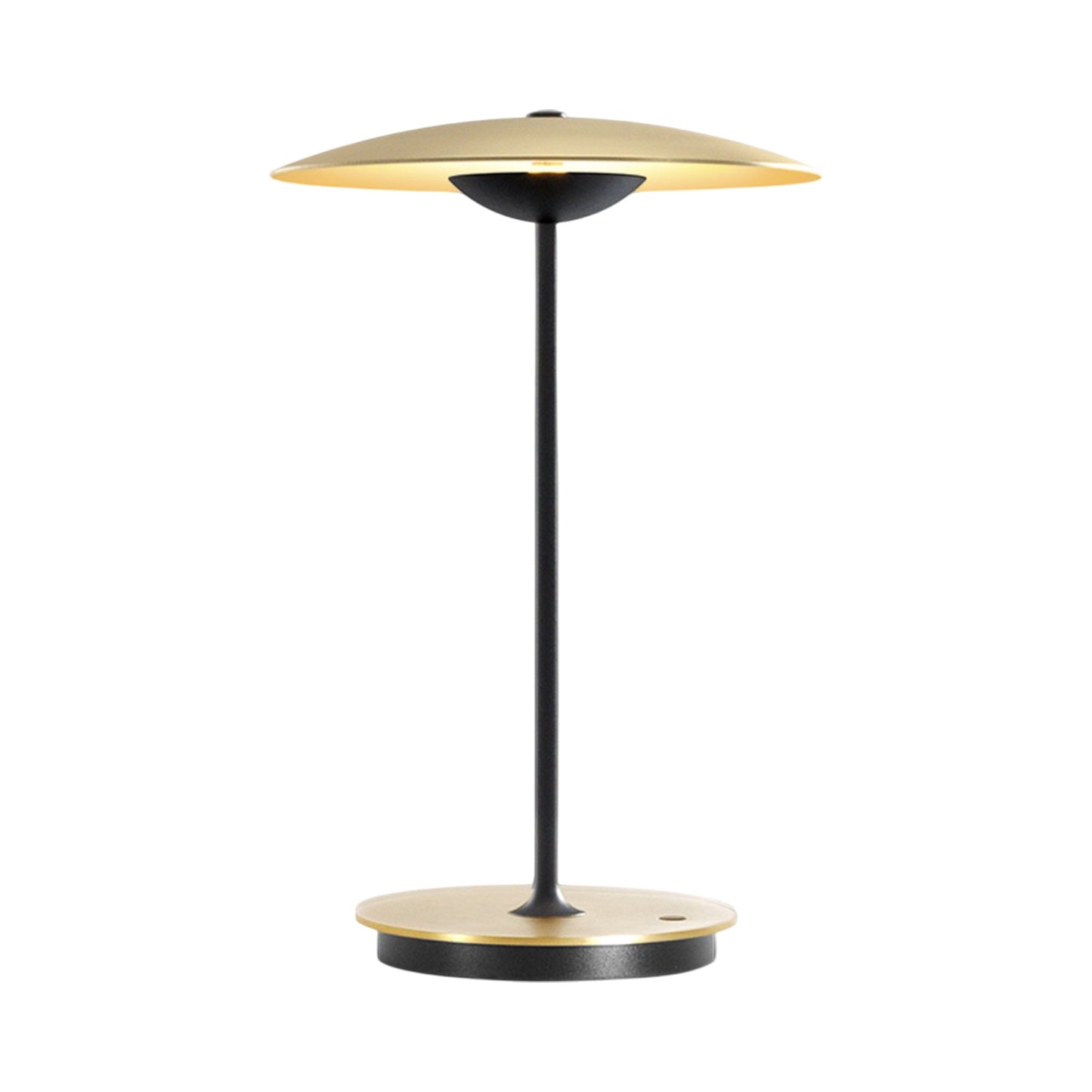 Ginger LED Portable Table Lamp in Brushed Brass.