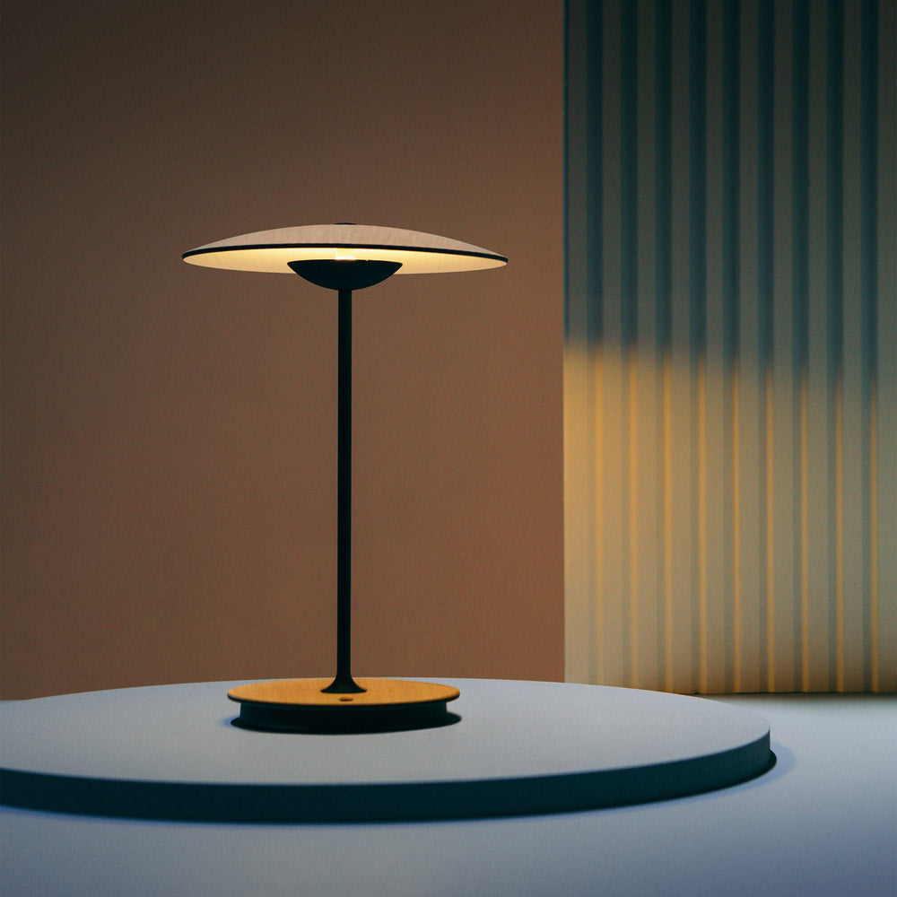 Ginger LED Portable Table Lamp in Detail.