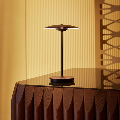 Ginger LED Portable Table Lamp in Detail.