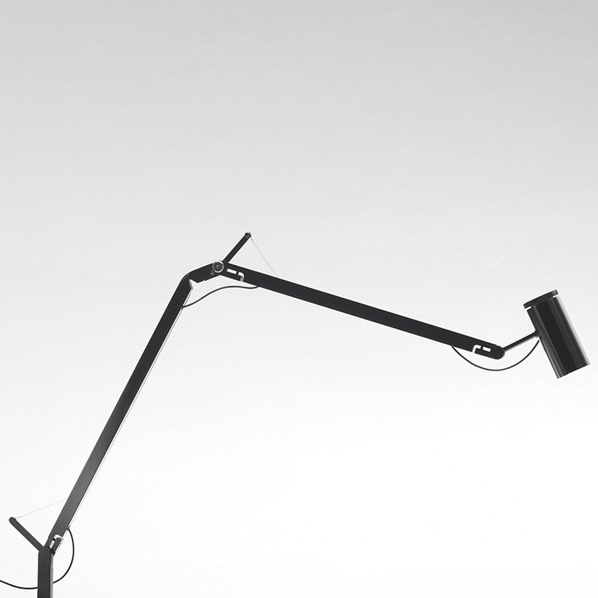 Polo LED Table Lamp – City Lights SF