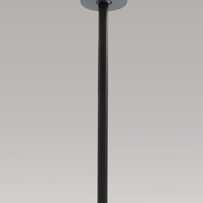 Ringo Extension Pole.