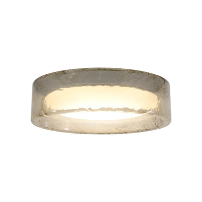 Ringo LED Flush Mount Ceiling Light in Smoked (27.6-Inch).