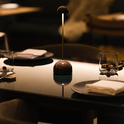 Sips Outdoor LED Potable Table Lamp in living room.