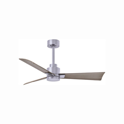 Alessandra Indoor / Outdoor Ceiling Fan in Brushed Nickel/Gray Ash (42-Inch).