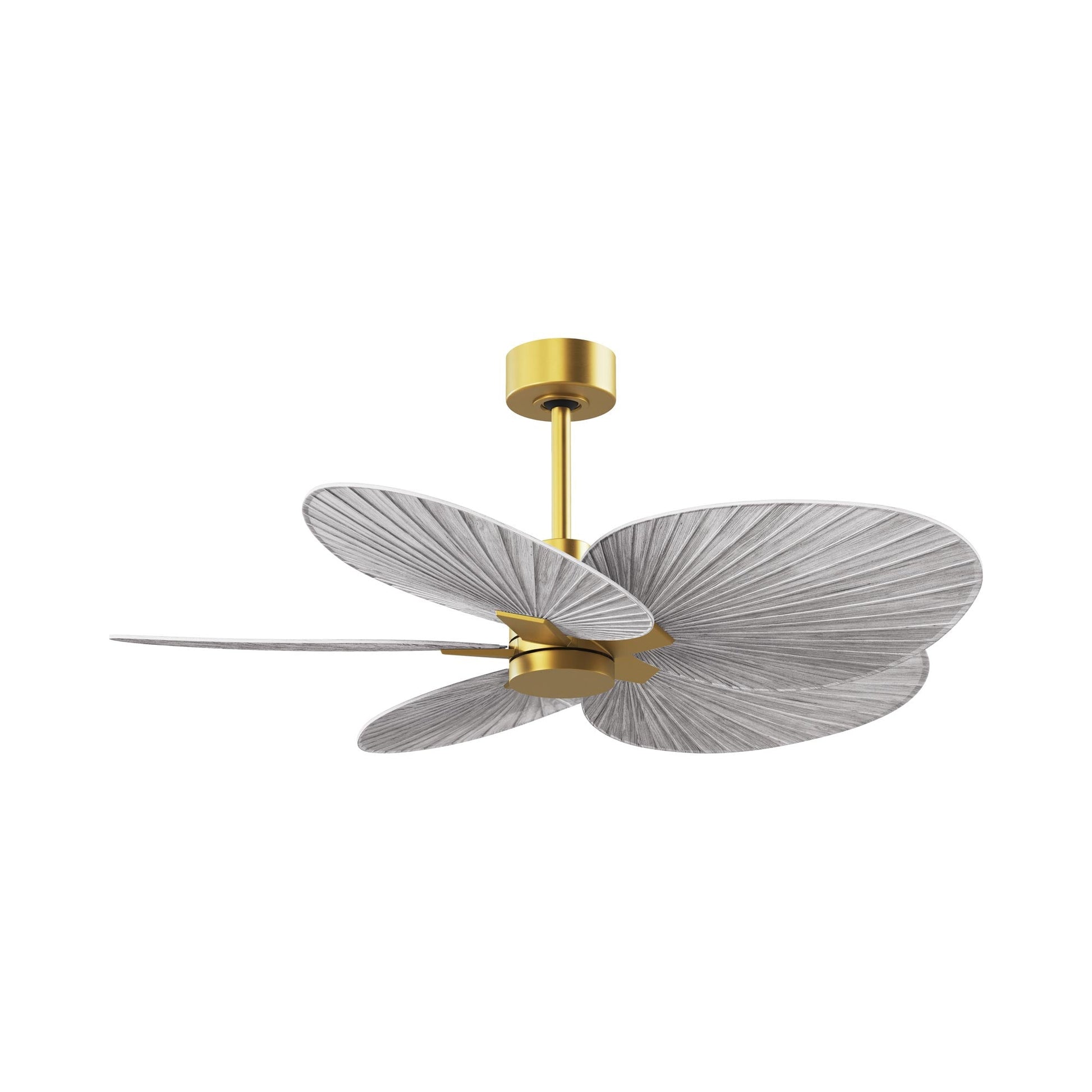 Alessandra Tropical Ceiling Fan.