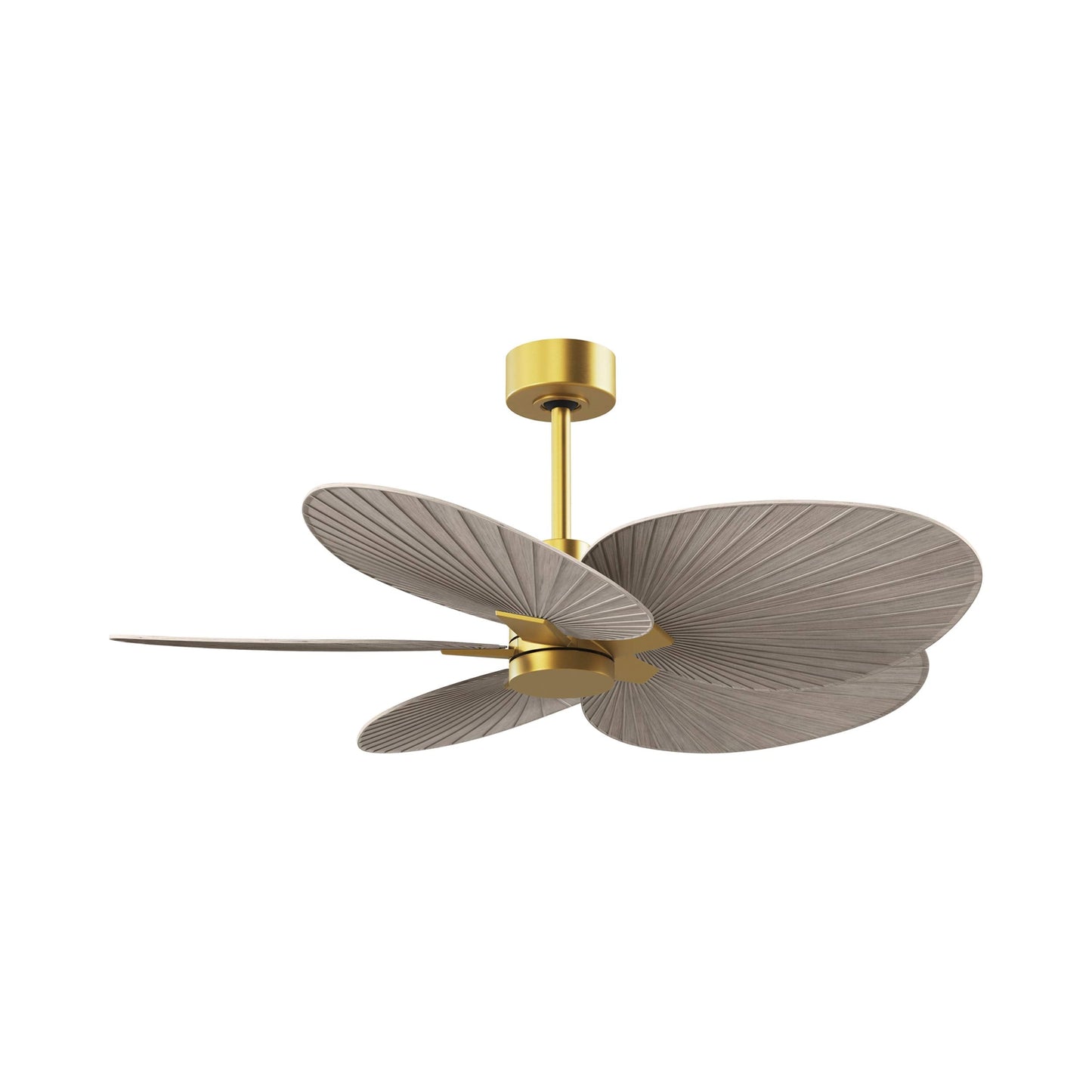 Alessandra Tropical Ceiling Fan in Brushed Brass/Gray Ash.