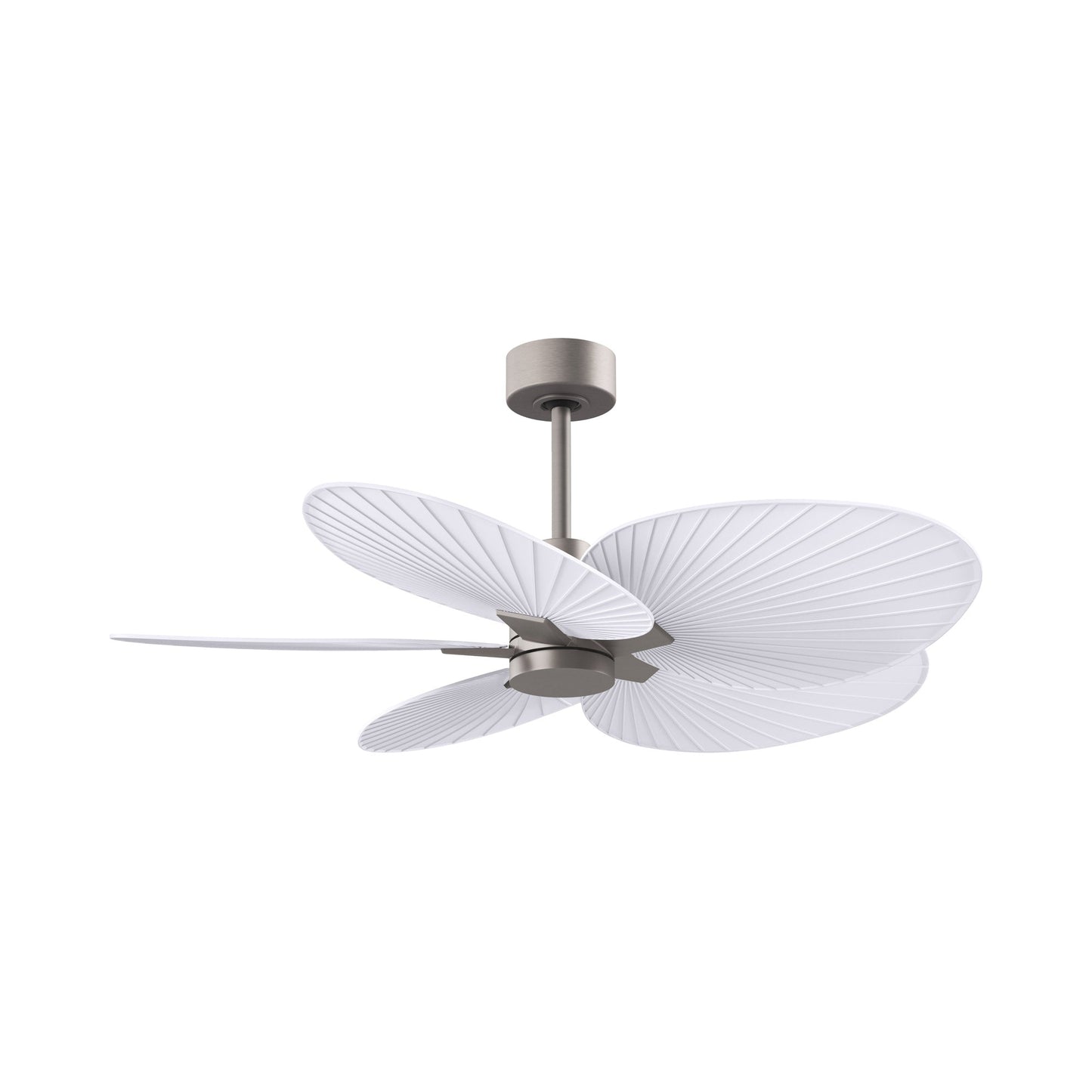 Alessandra Tropical Ceiling Fan in Brushed Nickel/Matte White.