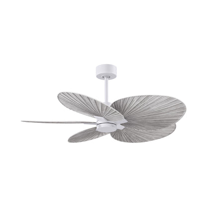 Alessandra Tropical Ceiling Fan in Matte White/Barn Wood.