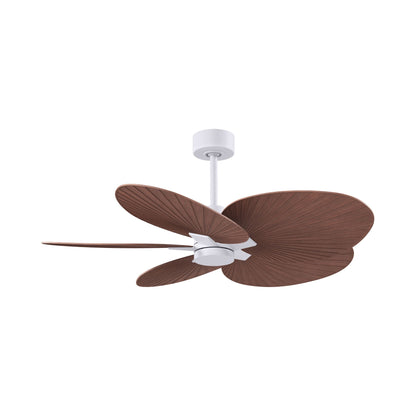 Alessandra Tropical Ceiling Fan in Matte White/Walnut.