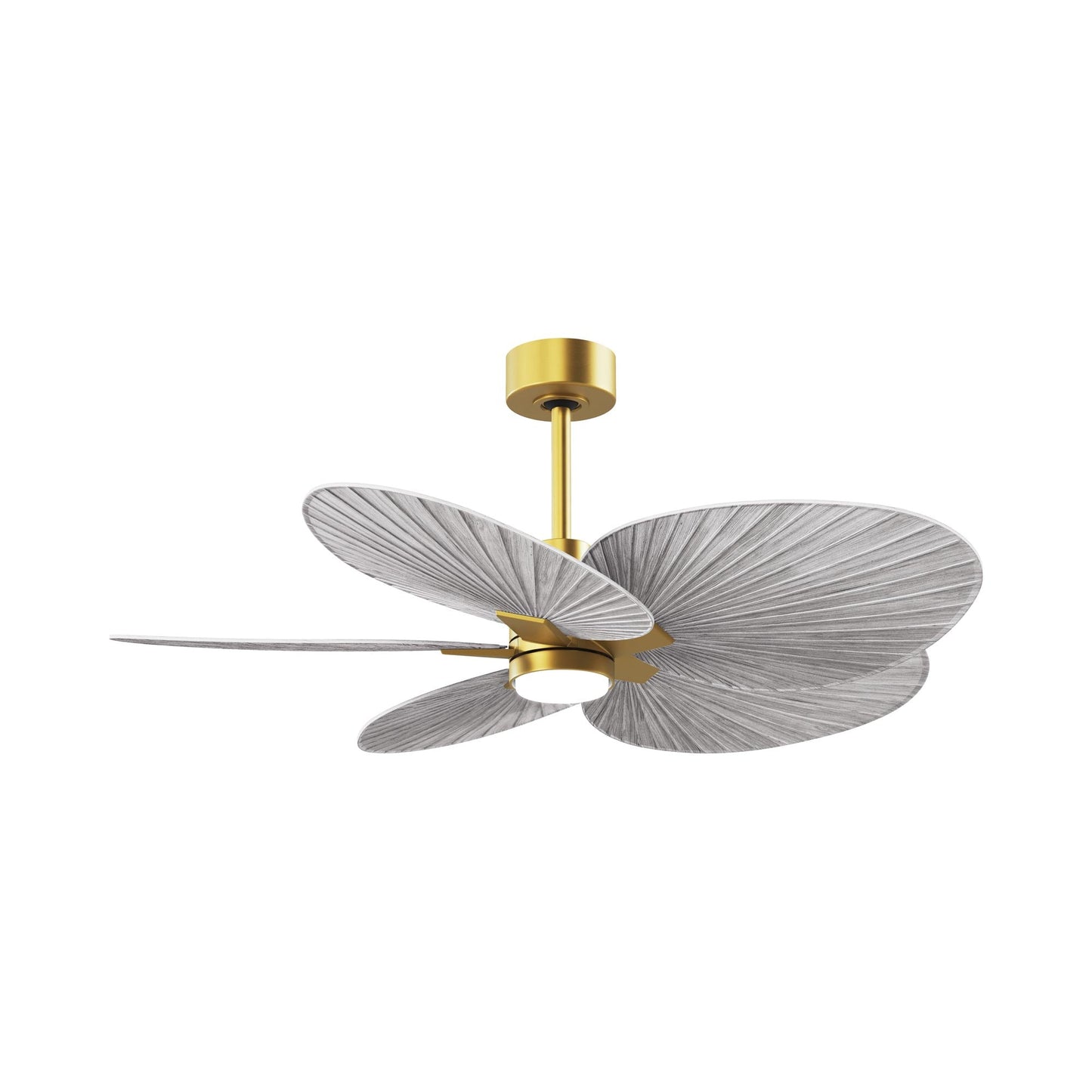 Alessandra Tropical LED Ceiling Fan.
