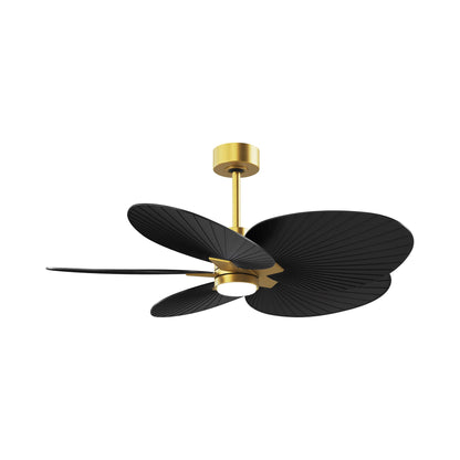 Alessandra Tropical LED Ceiling Fan in Brushed Brass/Matte Black.