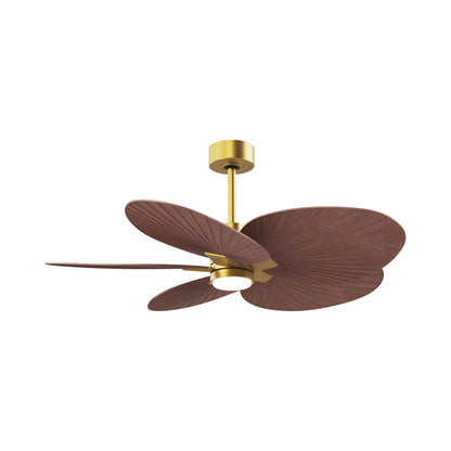 Alessandra Tropical LED Ceiling Fan in Brushed Brass/Walnut.