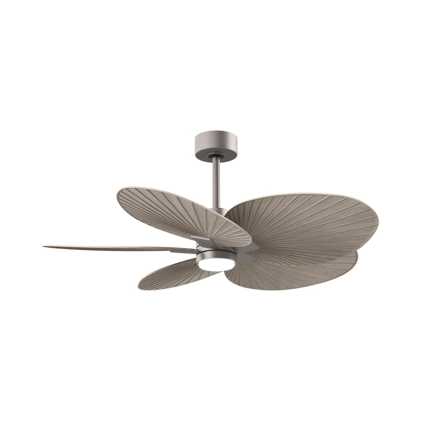 Alessandra Tropical LED Ceiling Fan in Brushed Nickel/Gray Ash.