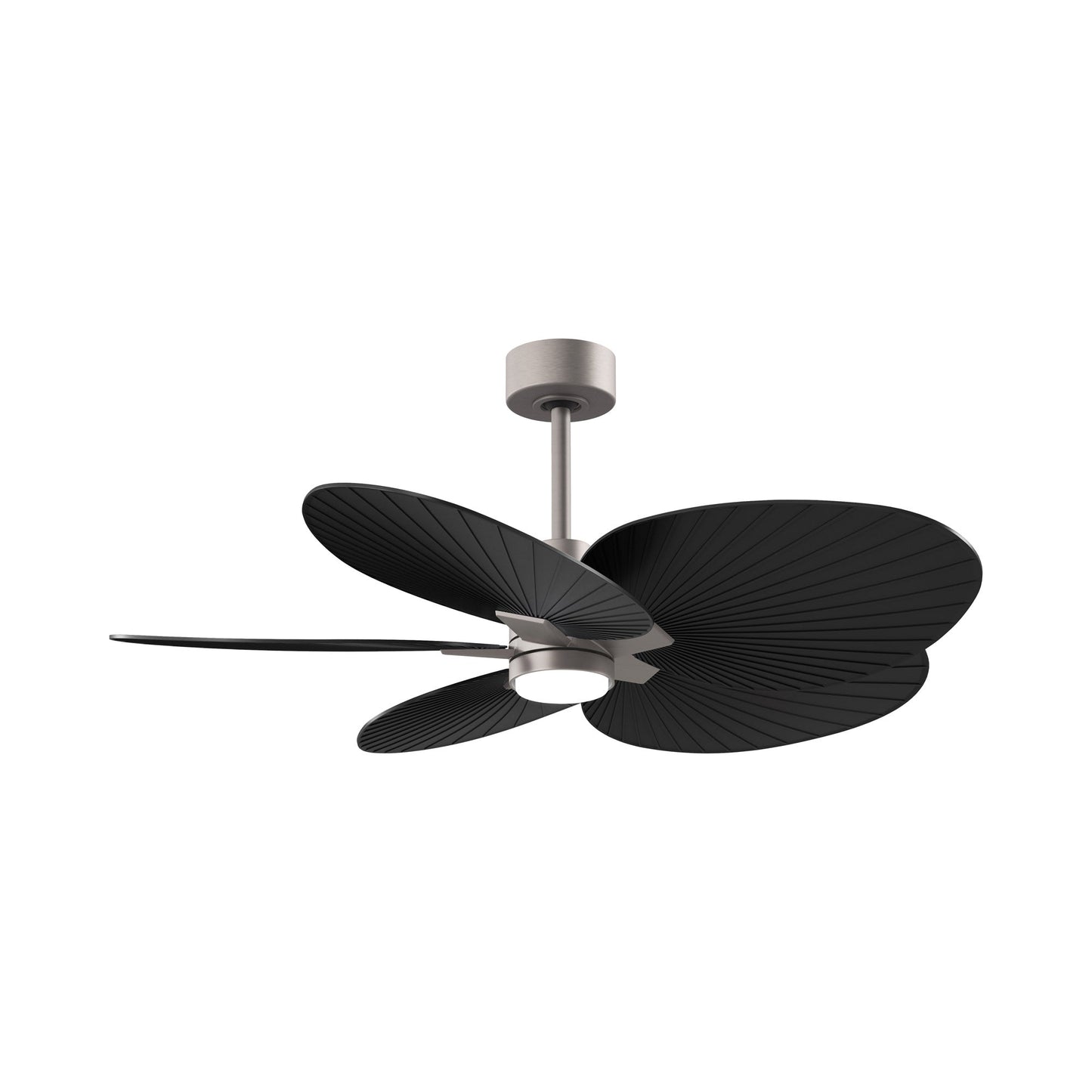 Alessandra Tropical LED Ceiling Fan in Brushed Nickel/Matte Black.