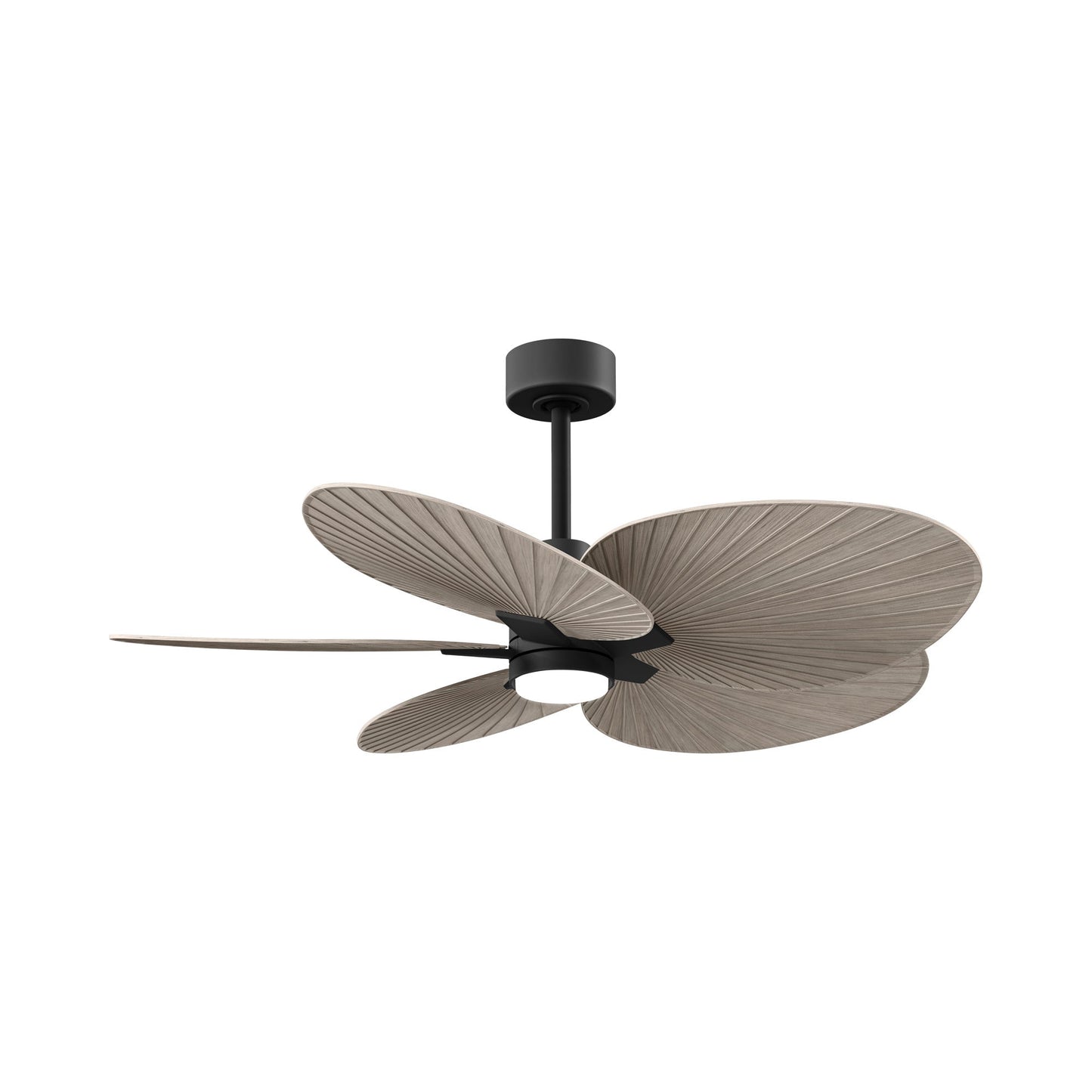Alessandra Tropical LED Ceiling Fan in Matte Black/Gray Ash.