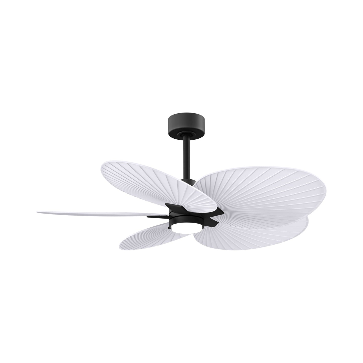 Alessandra Tropical LED Ceiling Fan in Matte Black/Matte White.
