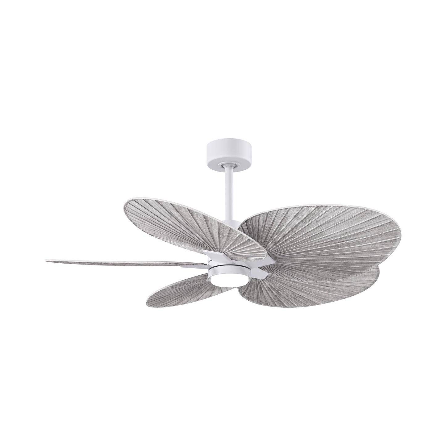 Alessandra Tropical LED Ceiling Fan in Matte White/Barn Wood.