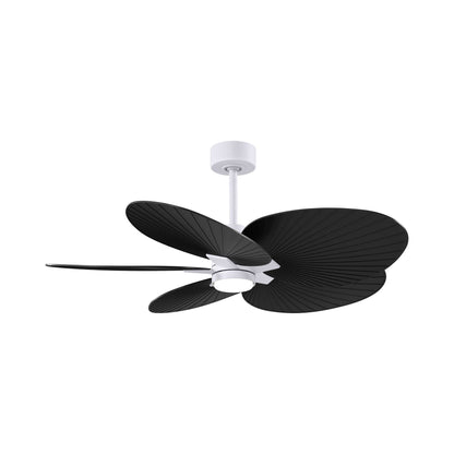 Alessandra Tropical LED Ceiling Fan in Matte White/Matte Black.