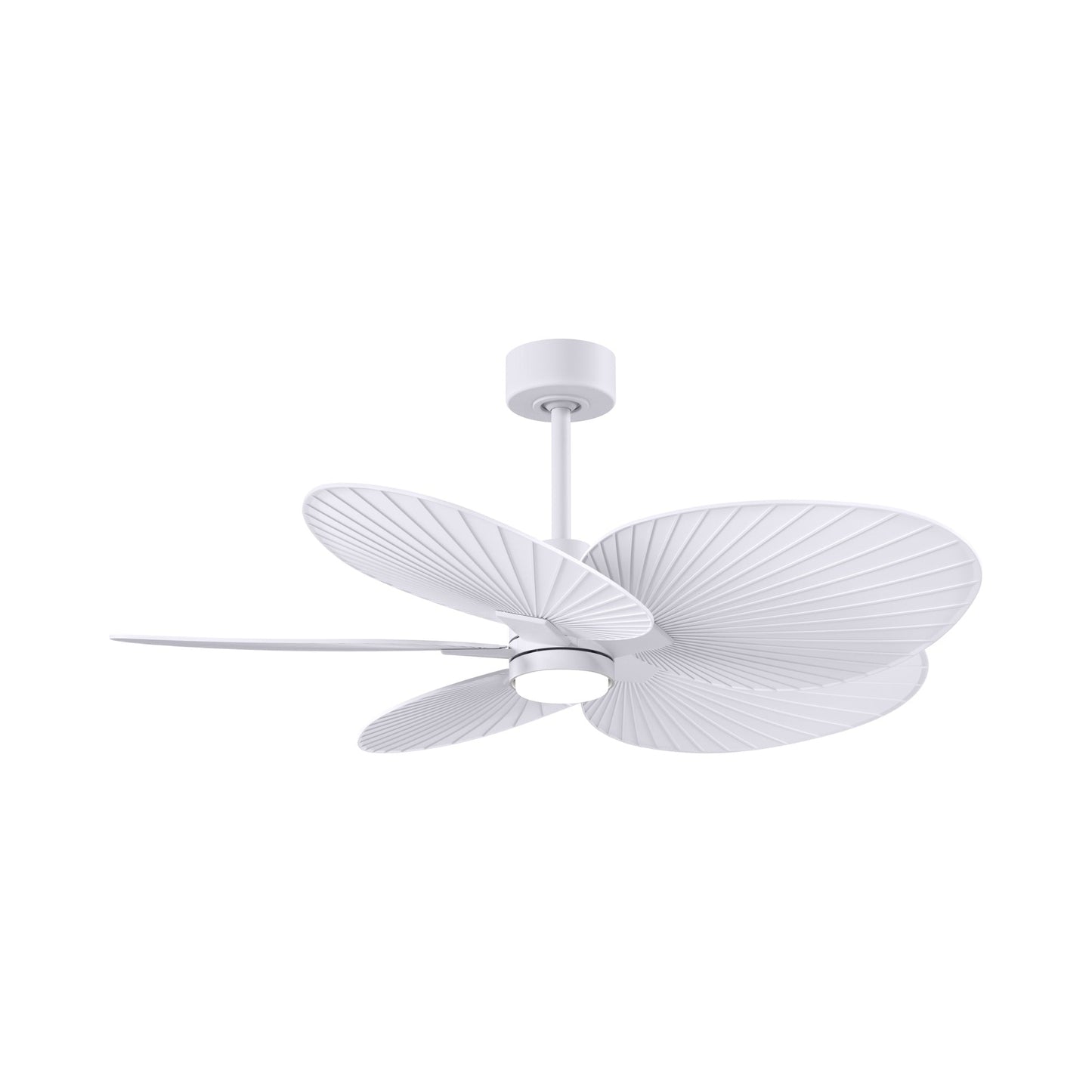 Alessandra Tropical LED Ceiling Fan in Matte White/Matte White.