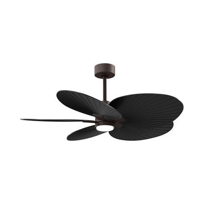 Alessandra Tropical LED Ceiling Fan in Textured Bronze/Matte Black.