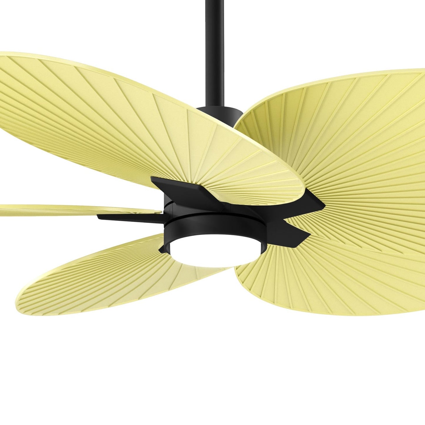 Alessandra Tropical LED Ceiling Fan in Detail.