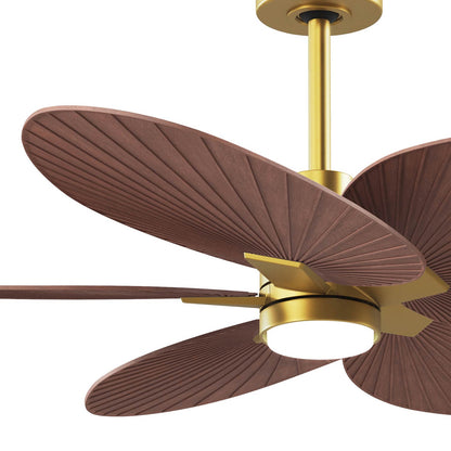 Alessandra Tropical LED Ceiling Fan in Detail.