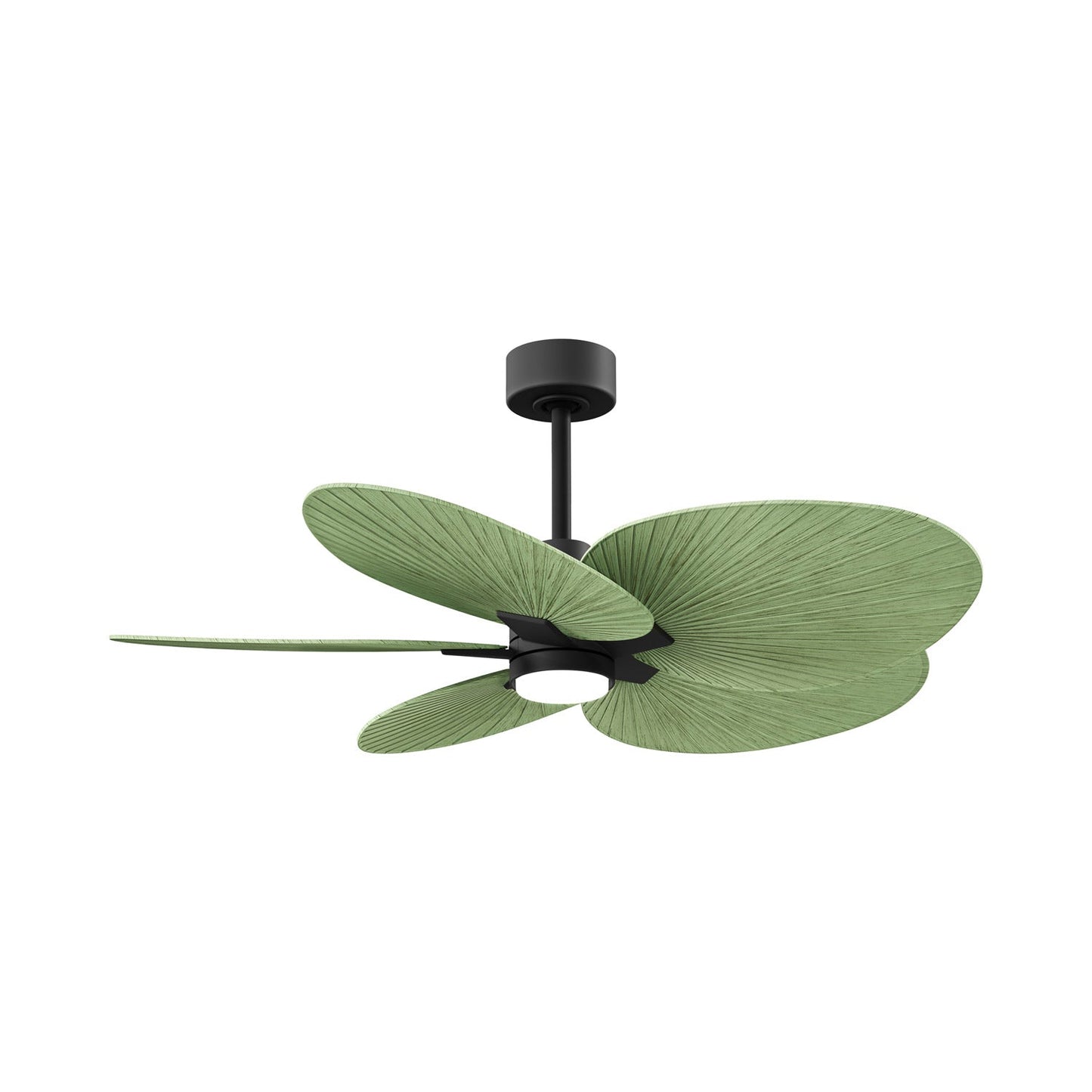 Alessandra Tropical LED Outdoor Ceiling Fan in Matte Black/Palm Leaf.
