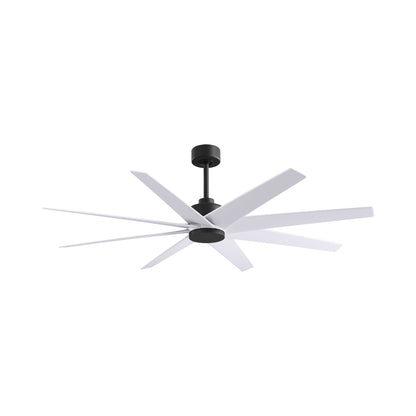Ariella Ceiling Fan in Matte Black/Matte White.