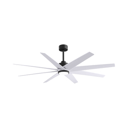 Ariella LED Ceiling Fan in Matte Black/Matte White.