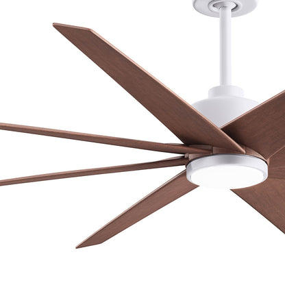 Ariella LED Ceiling Fan in Detail.