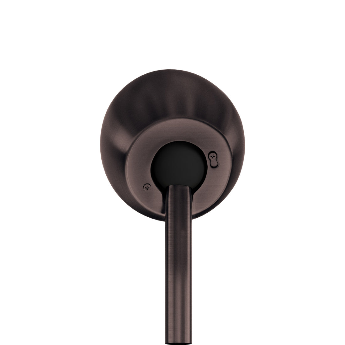 Atlas Cathedral Ceiling Mount in Brushed Bronze.